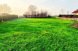 Grundstück zu kaufen in Kreuzbühlstraße 24, 72469 Meßstetten, Baugrundstück: Raus aus der Hektik, rein ins Leben