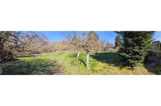 Grundstück zu kaufen in Auf Dem Damm 57, 41189 Wickrathberg, Hobby-/Freizeitgarten am Niersgrünzug, ruhige Lage in der Natur