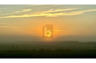 Grundstück zu kaufen in 18375 Ostseebad Prerow, TOP INVESTITIONSOBJEKT IN RUHIGER IDYLLE