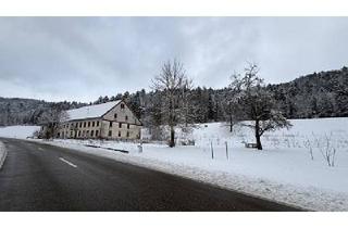 Gewerbeimmobilie kaufen in 79837 St. Blasien, HISTORISCH, MITTEN IM SCHWARZWALD