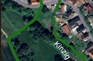 Bauernhaus kaufen in 64732 Bad König, Bad König - Bauernhof Pferdehof