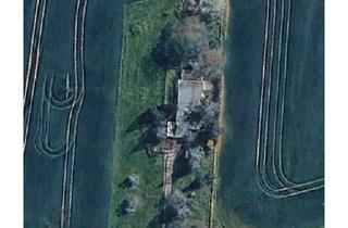 Einfamilienhaus kaufen in 06729 Elsteraue, Elsteraue - EFH im Bungalowstil 100qm auf 2600qm Grundstück