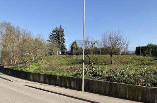 Grundstück zu kaufen in 75045 Walzbachtal, Walzbachtal - BAUPLATZ FÜR EIN MEHRFAMILIENHAUS