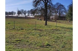 Haus kaufen in 17111 Borrentin, Borrentin - EFH in ruhiger Umgebung san. bed.