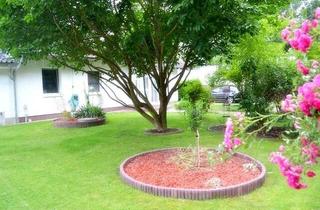 Haus kaufen in 15370 Fredersdorf-Vogelsdorf, Fredersdorf - 3 Wohneinheiten mit gepflegtem Garten alle sofort bezugsfrei