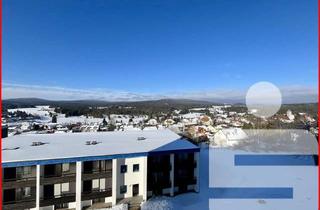 Wohnung kaufen in 94145 Haidmühle, 2-Zimmer-Eigentumswohnung in 94145 Haidmühle