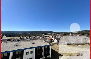 Wohnung kaufen in 94145 Haidmühle, *reserviert* 2-Zimmer-Eigentumswohnung in 94145 Haidmühle