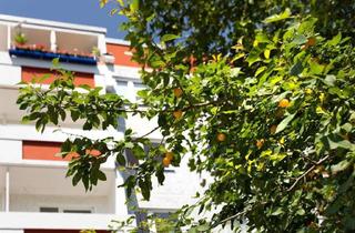 Wohnung mieten in Hanoier Straße 45, 06132 Silberhöhe, Wohntraum mit Balkon