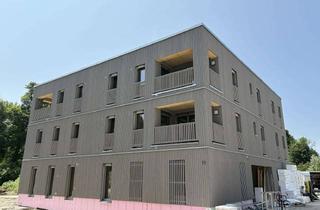 Wohnung mieten in 88239 Wangen, Moderne 2-Zimmerwohnung zur Miete in Wangen