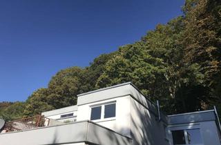 Wohnung mieten in Peter-Schnellbach-Straße 47/3, 69151 Neckargemünd, Sonnige 2,5-Zimmer Wohnung in Kleingemünd für 2 Jahre zu vermieten