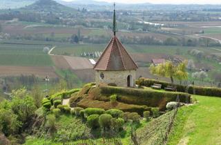 Wohnung mieten in 79238 Ehrenkirchen, Großzügige Mietwohnung mit herrlichem Rundumbalkon