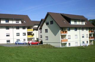 Wohnung mieten in Am Vogelherd, 08304 Schönheide, frisch renoviert mit neuen Bodenbelägen