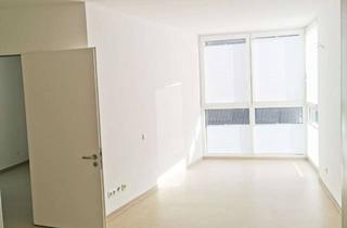 Wohnung mieten in Rembergstr. 8a, 58095 Mittelstadt, *lichtdurchflutete 2-Zimmer Wohnung am Remberg im Neubau von 2015*