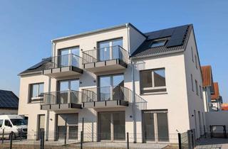 Wohnung mieten in Durlacher Weg, 76351 Linkenheim-Hochstetten, Erstbezug Neubau 3-Zi KfW-40 Küche + Stellplatz – 76m²