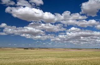 Gewerbeimmobilie kaufen in 23948 Klütz, Weitläufiges Gesundheitsresort mit großem Park – attraktive Chance im Bieterverfahren