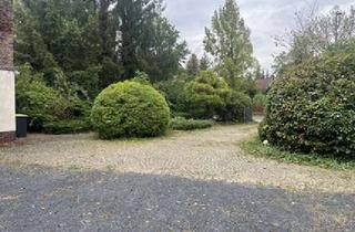 Einfamilienhaus kaufen in 03253 Doberlug-Kirchhain, Villenartiges Einfamilienhaus mit Flair und viel Nebengelaß