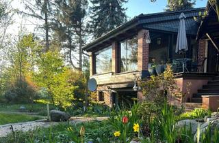 Einfamilienhaus kaufen in 06773 Gräfenhainichen, Einfamilienhaus im Bungalowstil mit weitläufigem Garten und Pool