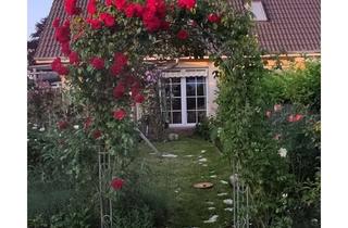 Doppelhaushälfte kaufen in 29303 Bergen, Kontrollierte Lüftung/Wärmerückgewinnung, Doppelhaushälfte, ruhige Wohnstraße