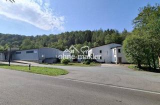 Geschäftslokal mieten in 09518 Großrückerswalde, Lagerhallen bis 2.000m2 / teilbar ab 400m2 / Produktion / Büroflächen / zur Miete