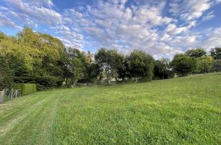 Anlageobjekt in 71144 Steinenbronn, VIELSEITIGES ANWESEN IDEEN OHNE GRENZEN