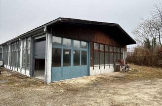 Gewerbeimmobilie mieten in 86647 Buttenwiesen, Halle zur Miete in Ortsrandlage - Buttenwiesen-OT