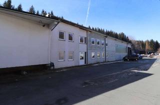 Gewerbeimmobilie kaufen in 95179 Geroldsgrün, Fertigungshalle mit Büro - viele Möglichkeiten!