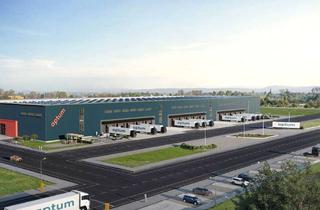 Gewerbeimmobilie mieten in 90471 Langwasser, Neubau Halle für Produktion und Logistik