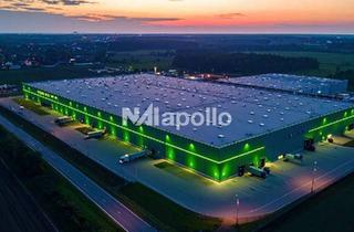 Gewerbeimmobilie mieten in 47119 Ruhrort, ! Erstklassiger Neubau ☆ bis ca. 65.000 m² ☆ ausreichend Rampen ☆ 24/7 Nutzung !