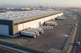 Gewerbeimmobilie mieten in 76461 Muggensturm, ! Moderner Logistikneubau ☆ ca. 15.000 m² Halle ☆ DGNB-Gold ☆ 24/7 Nutzung !
