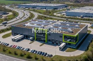 Gewerbeimmobilie mieten in 76437 Rastatt, ! Hochwertiger Neubau ☆ ca. 15.000 m² Halle ☆ ESG-konform ☆ Bezug nach Absprache !