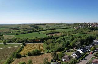 Grundstück zu kaufen in 55270 Zornheim, Traumgrundstück in Feldrandlage!