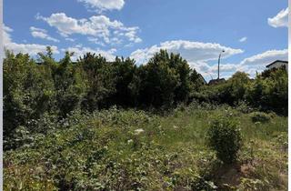 Grundstück zu kaufen in 71394 Kernen, Schönes Baugrundstück in Kernen- Rommelshausen