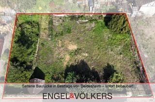 Grundstück zu kaufen in 67146 Deidesheim, Seltene Baulücke in Bestlage von Deidesheim – sofort bebaubar!