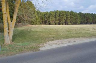 Grundstück zu kaufen in Dorfstraße 38, 15537 Grünheide, Großzügiges Villengrundstück nahe Tesla in Grünheide OT Freienbrink