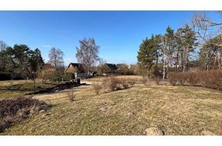 Grundstück zu kaufen in 17459 Loddin, Attraktives Bauland auf Usedom