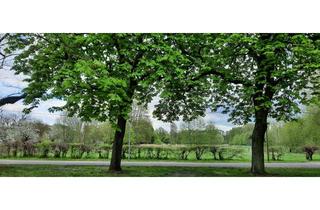 Grundstück zu kaufen in Selchower Straße, 15754 Heidesee, 3 Baugrundstücke mit unverbautem Blick auf Wiesen und Erlenwäldchen