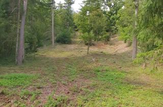 Grundstück zu kaufen in 75249 Kieselbronn, Kieselbronn " In der alten Hälde" 10