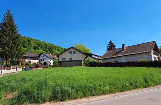 Grundstück zu kaufen in 69151 Neckargemünd, Sonniger Bauplatz in Neckargemünd
