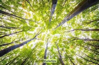 Grundstück zu kaufen in Untere Straßhut, 95473 Creußen, Waldfläche - provisionsfrei