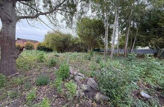 Grundstück zu kaufen in 18069 Lambrechtshagen, Baugrundstück in Sievershagen sucht Häuslebauer