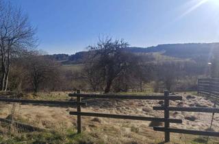 Grundstück zu kaufen in 94518 Spiegelau, Erschlossenes Grundstück in sehr guter Lage in Spiegelau-Rand - ruhig, unverbaubar, 1.231 m² groß