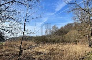 Grundstück zu kaufen in 23628 Krummesse, MIT WASSERZUGANG & ENTWICKLUNGSPOTENZIAL