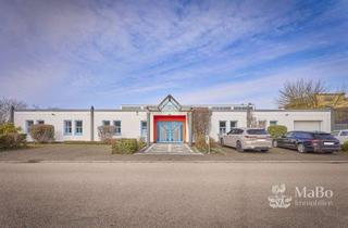 Büro zu mieten in Am Flugplatz, 67346 Speyer, Provisionsfrei: Repräsentatives großzügiges Bürogebäude in sehr guter Verkehrslage!