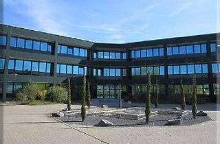 Büro zu mieten in Marie-Curie-Str., 63457 Hanau, 1A Büroflächen - direkt an der B43a Ausfahrt Hanau/Wolfgang