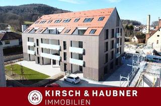 Gewerbeimmobilie mieten in 92360 Mühlhausen, Vielfältig nutzbar!Gewerbe - Neubau-Erstbezug im Ortszentrum! Mühlhausen – Am Bräuhaus