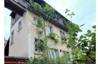 Immobilie mieten in Brauneggerstraße 21, 78462 Konstanz, Mitbewohner*in(nen) fürs Hinterhaus im Paradies gesucht!