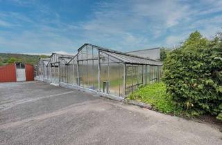 Immobilie mieten in 71723 Großbottwar, Gewächshaus mit ca. 500 m² EntwicklungspotenzialLangfristige Vermietungfür Investoren