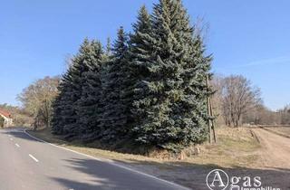 Gewerbeimmobilie kaufen in 06868 Stackelitz, Freifläche am Waldrand in Stackelitz