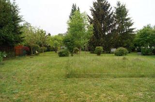Grundstück zu kaufen in 15806 Dabendorf, Grundstück in Dabendorf mit Blick auf Feld und Naturschutzgebiet