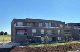 Wohnung mieten in Ströllerbachallee 66, 74613 Öhringen, Helle 3,5-Zimmer Wohnung mit Balkon im 1. OG in Öhringen, Erstbezug